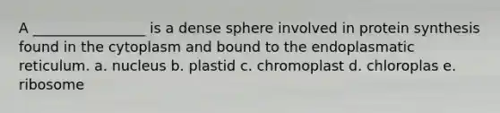 A ________________ is a dense sphere involved in protein synthesis found in the cytoplasm and bound to the endoplasmatic reticulum. a. nucleus b. plastid c. chromoplast d. chloroplas e. ribosome