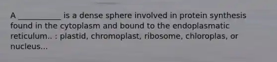 A ___________ is a dense sphere involved in protein synthesis found in the cytoplasm and bound to the endoplasmatic reticulum.. : plastid, chromoplast, ribosome, chloroplas, or nucleus...