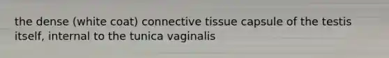 the dense (white coat) <a href='https://www.questionai.com/knowledge/kYDr0DHyc8-connective-tissue' class='anchor-knowledge'>connective tissue</a> capsule of the testis itself, internal to the tunica vaginalis