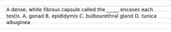 A dense, white fibrous capsule called the _____ encases each testis. A. gonad B. epididymis C. bulbourethral gland D. tunica albuginea