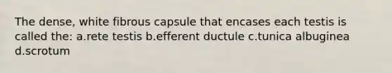 The dense, white fibrous capsule that encases each testis is called the: a.rete testis b.efferent ductule c.tunica albuginea d.scrotum