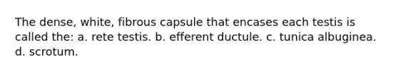 The dense, white, fibrous capsule that encases each testis is called the: a. rete testis. b. efferent ductule. c. tunica albuginea. d. scrotum.