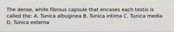 The dense, white fibrous capsule that encases each testis is called the: A. Tunica albuginea B. Tunica intima C. Tunica media D. Tunica externa