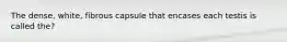 The dense, white, fibrous capsule that encases each testis is called the?