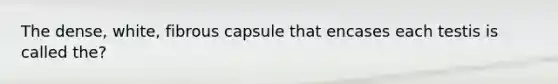 The dense, white, fibrous capsule that encases each testis is called the?