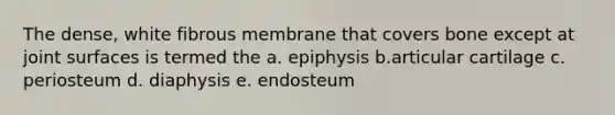 The dense, white fibrous membrane that covers bone except at joint surfaces is termed the a. epiphysis b.articular cartilage c. periosteum d. diaphysis e. endosteum