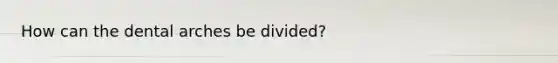 How can the dental arches be divided?
