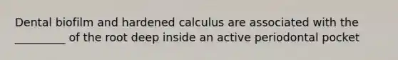 Dental biofilm and hardened calculus are associated with the _________ of the root deep inside an active periodontal pocket