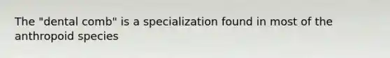 The "dental comb" is a specialization found in most of the anthropoid species