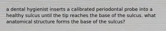 a dental hygienist inserts a calibrated periodontal probe into a healthy sulcus until the tip reaches the base of the sulcus. what anatomical structure forms the base of the sulcus?