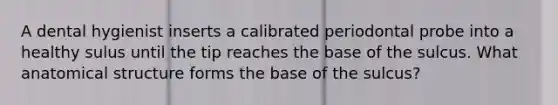 A dental hygienist inserts a calibrated periodontal probe into a healthy sulus until the tip reaches the base of the sulcus. What anatomical structure forms the base of the sulcus?