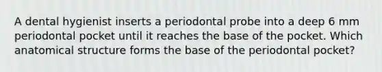 A dental hygienist inserts a periodontal probe into a deep 6 mm periodontal pocket until it reaches the base of the pocket. Which anatomical structure forms the base of the periodontal pocket?