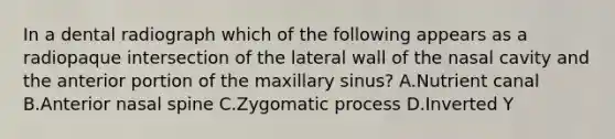 In a dental radiograph which of the following appears as a radiopaque intersection of the lateral wall of the nasal cavity and the anterior portion of the maxillary sinus? A.Nutrient canal B.Anterior nasal spine C.Zygomatic process D.Inverted Y