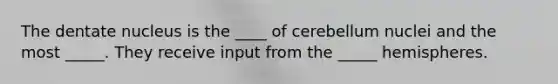 The dentate nucleus is the ____ of cerebellum nuclei and the most _____. They receive input from the _____ hemispheres.
