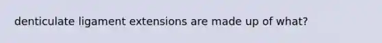denticulate ligament extensions are made up of what?