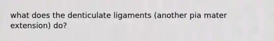 what does the denticulate ligaments (another pia mater extension) do?