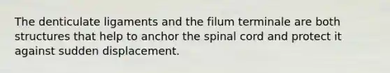 The denticulate ligaments and the filum terminale are both structures that help to anchor the spinal cord and protect it against sudden displacement.