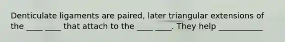 Denticulate ligaments are paired, later triangular extensions of the ____ ____ that attach to the ____ ____. They help ___________