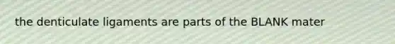 the denticulate ligaments are parts of the BLANK mater