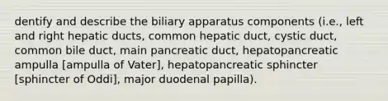 dentify and describe the biliary apparatus components (i.e., left and right hepatic ducts, common hepatic duct, cystic duct, common bile duct, main pancreatic duct, hepatopancreatic ampulla [ampulla of Vater], hepatopancreatic sphincter [sphincter of Oddi], major duodenal papilla).