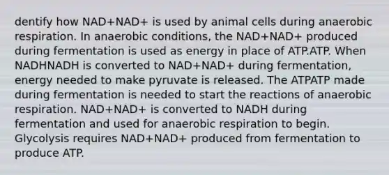 dentify how NAD+NAD+ is used by animal cells during anaerobic respiration. In anaerobic conditions, the NAD+NAD+ produced during fermentation is used as energy in place of ATP.ATP. When NADHNADH is converted to NAD+NAD+ during fermentation, energy needed to make pyruvate is released. The ATPATP made during fermentation is needed to start the reactions of anaerobic respiration. NAD+NAD+ is converted to NADH during fermentation and used for anaerobic respiration to begin. Glycolysis requires NAD+NAD+ produced from fermentation to produce ATP.