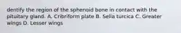 dentify the region of the sphenoid bone in contact with the pituitary gland. A. Cribriform plate B. Sella turcica C. Greater wings D. Lesser wings