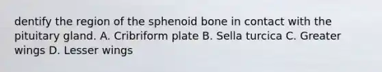 dentify the region of the sphenoid bone in contact with the pituitary gland. A. Cribriform plate B. Sella turcica C. Greater wings D. Lesser wings