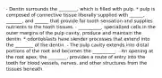 - Dentin surrounds the ________, which is filled with pulp. * pulp is composed of connective tissue liberally supplied with ______, _______, and ______ that provide for tooth sensation and supplies nutrients to the tooth tissues. - __________, specialized cells in the outer margins of the pulp cavity, produce and maintain the dentin. * odontoblasts have slender processes that extend into the ________ of the dentin. - The pulp cavity extends into distal portions of the root and becomes the __________. - An opening at the root apex, the ________, provides a route of entry into the tooth for blood vessels, nerves, and other structures from the tissues beneath.