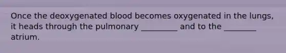 Once the deoxygenated blood becomes oxygenated in the lungs, it heads through the pulmonary _________ and to the ________ atrium.