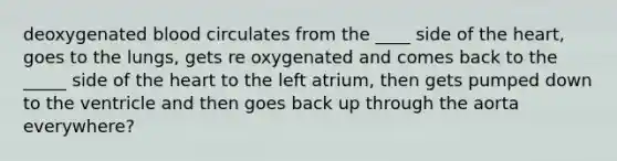 deoxygenated blood circulates from the ____ side of the heart, goes to the lungs, gets re oxygenated and comes back to the _____ side of the heart to the left atrium, then gets pumped down to the ventricle and then goes back up through the aorta everywhere?