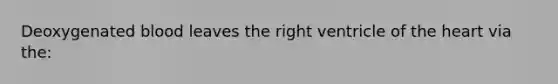 Deoxygenated blood leaves the right ventricle of the heart via the: