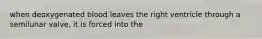 when deoxygenated blood leaves the right ventricle through a semilunar valve, it is forced into the