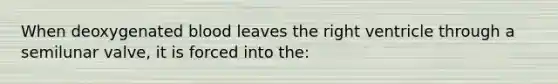 When deoxygenated blood leaves the right ventricle through a semilunar valve, it is forced into the: