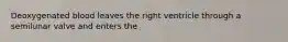Deoxygenated blood leaves the right ventricle through a semilunar valve and enters the