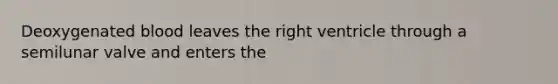 Deoxygenated blood leaves the right ventricle through a semilunar valve and enters the