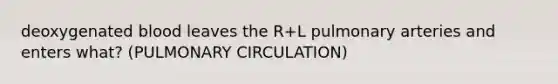 deoxygenated blood leaves the R+L pulmonary arteries and enters what? (PULMONARY CIRCULATION)