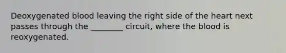 Deoxygenated blood leaving the right side of <a href='https://www.questionai.com/knowledge/kya8ocqc6o-the-heart' class='anchor-knowledge'>the heart</a> next passes through the ________ circuit, where <a href='https://www.questionai.com/knowledge/k7oXMfj7lk-the-blood' class='anchor-knowledge'>the blood</a> is reoxygenated.