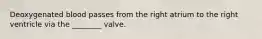 Deoxygenated blood passes from the right atrium to the right ventricle via the ________ valve.