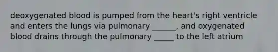 deoxygenated blood is pumped from the heart's right ventricle and enters the lungs via pulmonary ______, and oxygenated blood drains through the pulmonary _____ to the left atrium