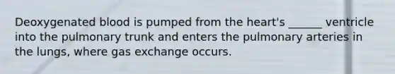 Deoxygenated blood is pumped from <a href='https://www.questionai.com/knowledge/kya8ocqc6o-the-heart' class='anchor-knowledge'>the heart</a>'s ______ ventricle into the pulmonary trunk and enters the pulmonary arteries in the lungs, where <a href='https://www.questionai.com/knowledge/kU8LNOksTA-gas-exchange' class='anchor-knowledge'>gas exchange</a> occurs.