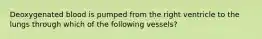 Deoxygenated blood is pumped from the right ventricle to the lungs through which of the following vessels?