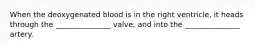 When the deoxygenated blood is in the right ventricle, it heads through the _______________ valve, and into the _______________ artery.