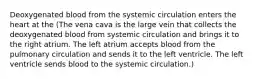 Deoxygenated blood from the systemic circulation enters the heart at the (The vena cava is the large vein that collects the deoxygenated blood from systemic circulation and brings it to the right atrium. The left atrium accepts blood from the pulmonary circulation and sends it to the left ventricle. The left ventricle sends blood to the systemic circulation.)