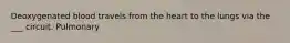 Deoxygenated blood travels from the heart to the lungs via the ___ circuit. Pulmonary