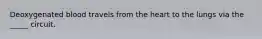 Deoxygenated blood travels from the heart to the lungs via the _____ circuit.