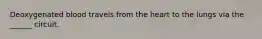 Deoxygenated blood travels from the heart to the lungs via the ______ circuit.