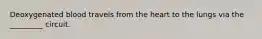 Deoxygenated blood travels from the heart to the lungs via the _________ circuit.