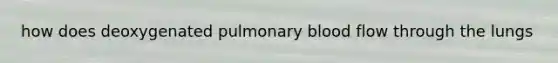 how does deoxygenated pulmonary blood flow through the lungs