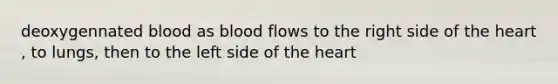 deoxygennated blood as blood flows to the right side of the heart , to lungs, then to the left side of the heart