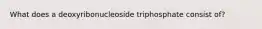 What does a deoxyribonucleoside triphosphate consist of?